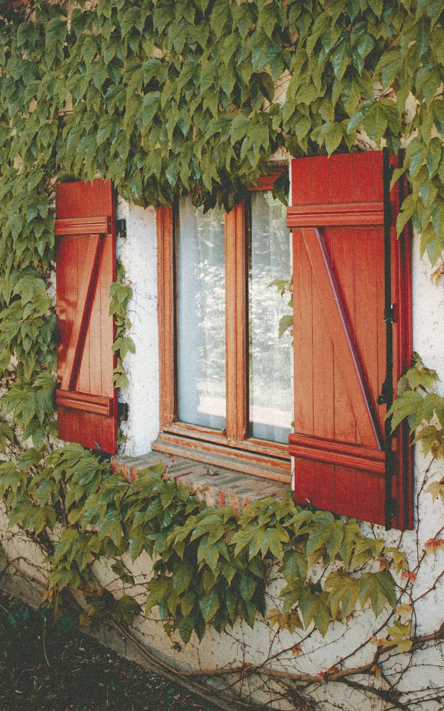 Volet battant et porte en bois sur-mesure - Fabrication française Menuiserie Prévot Dordogne